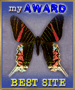 Best Site Award